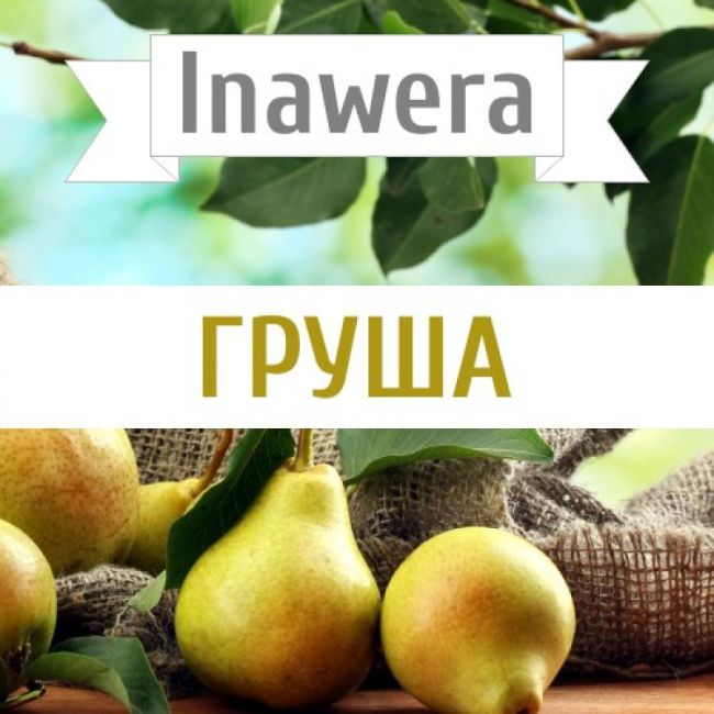 Inawera Груша Inawera Груша
