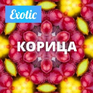 Exotic КОРИЦА 10мл Exotic КОРИЦА 10мл