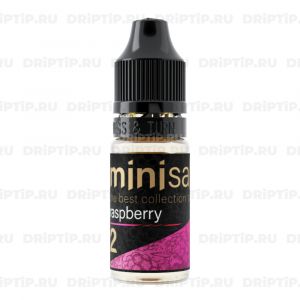Mini Salt - Raspberry Mini Salt - Raspberry