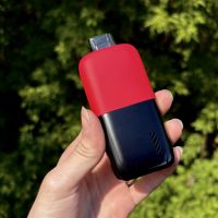 SWONQ M15000 - Лесные ягоды