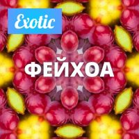 Exotic ФЕЙХОА 10мл