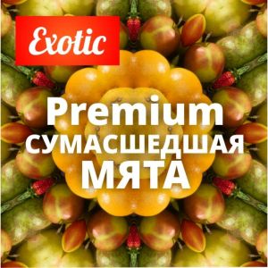 Exotic Premium СУМАСШЕДШАЯ МЯТА 10мл Exotic Premium СУМАСШЕДШАЯ МЯТА 10мл