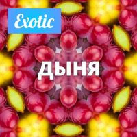 Exotic ДЫНЯ 10мл