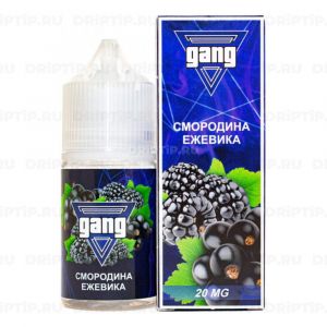 Gang Salt - Смородина Ежевика