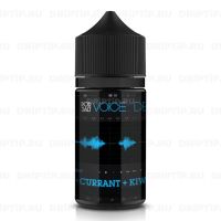 Voice Pod Salt - Delay