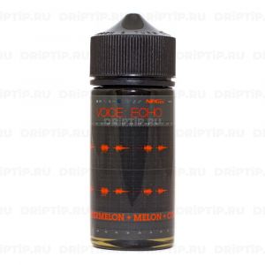 Voice - Echo Voice - Echo