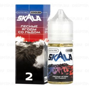 Skala Salt - Лесные ягоды со льдом Skala Salt - Лесные ягоды со льдом