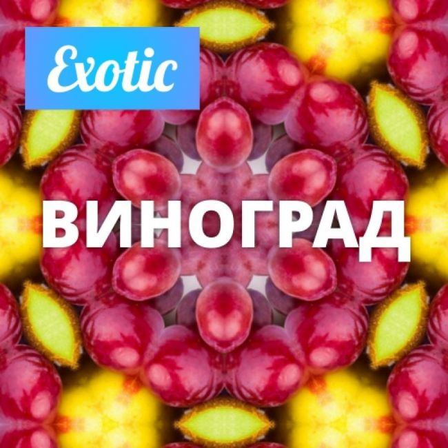 Exotic ВИНОГРАД 10мл Exotic ВИНОГРАД 10мл